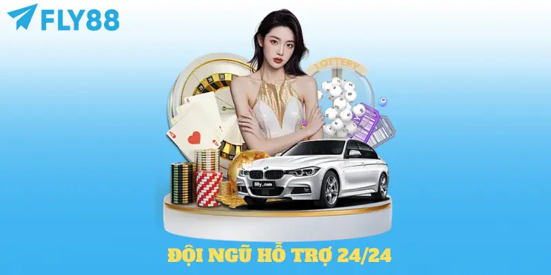 Đội ngũ hổ trợ 24/7